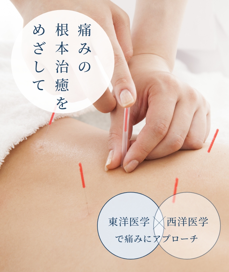 slide03_sp